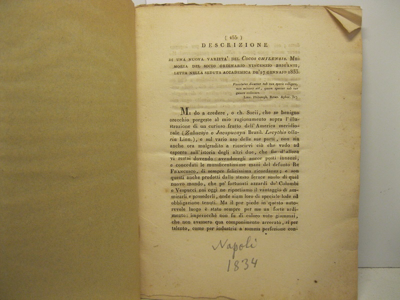 Descrizione di una nuova varietà del Cocos Chilensis. Memoria del socio ordinario Vincenzio Briganti letta nella seduta accademica de' 17 gennajo 1833